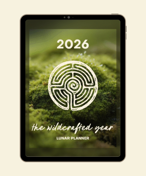 2026 Lunar Planner - Wildcrafted Year Digital Edition