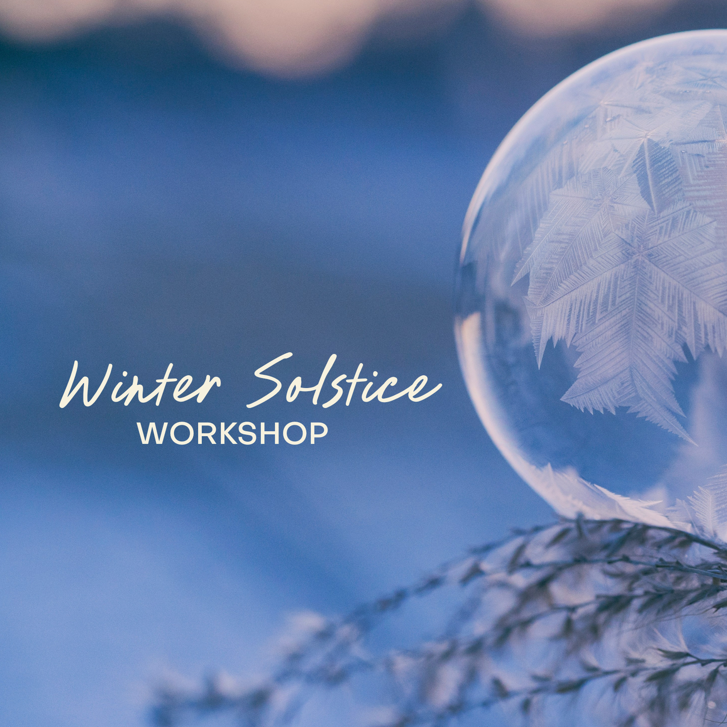Winter Solstice Seasonal Planning Workshop (Recording & Field Guide)