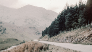 How I Found My Rhythm with a Lunar Planner