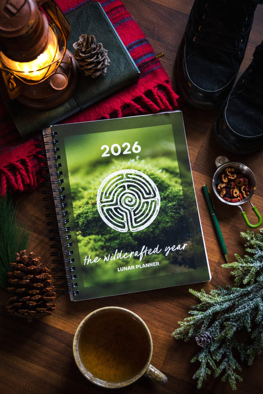 The Best Lunar Calendars and Planners for 2026