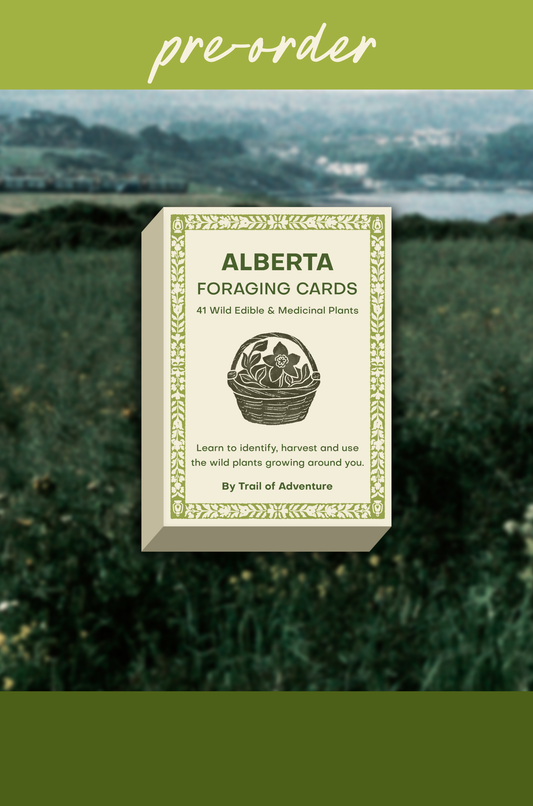 Alberta Foraging Cards - Field Guide Deck