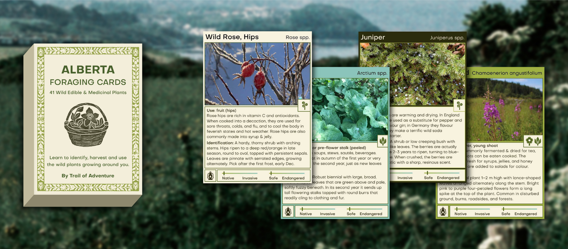 Set of Alberta foraging cards on a natural backdrop