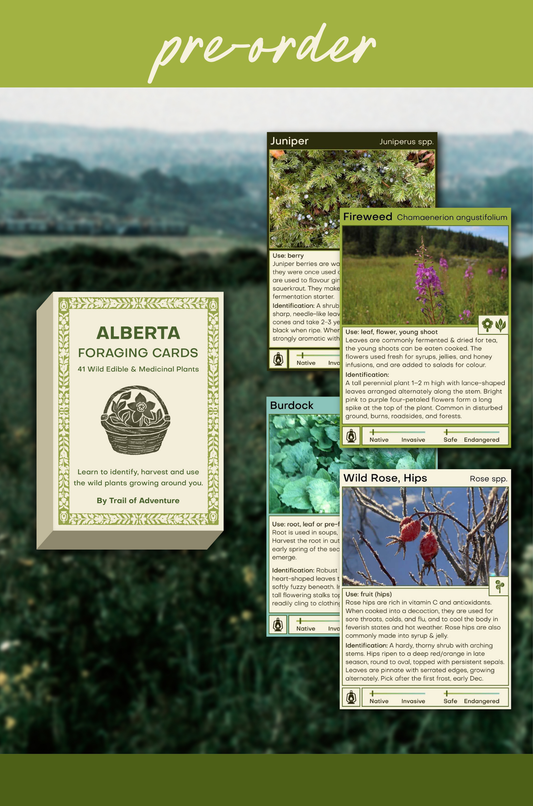 Alberta Foraging Cards - Field Guide Deck