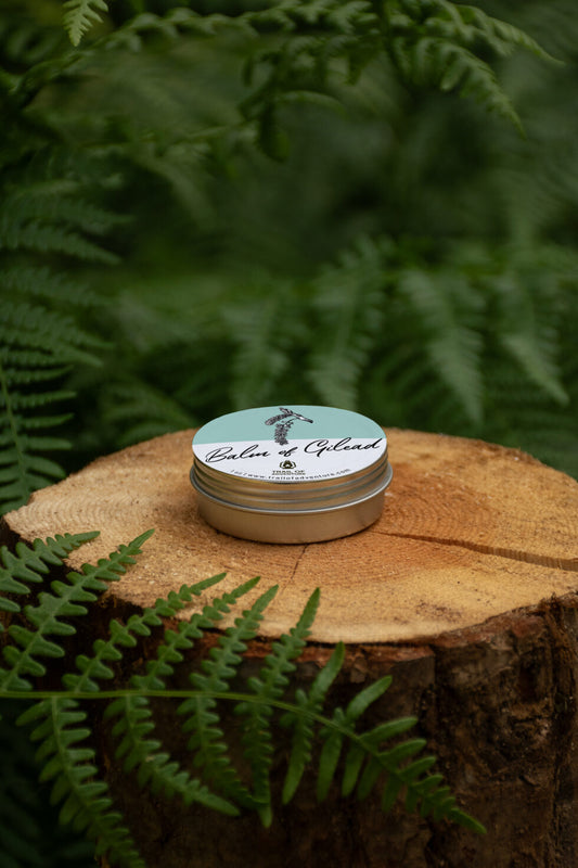 Balm of Gilhead