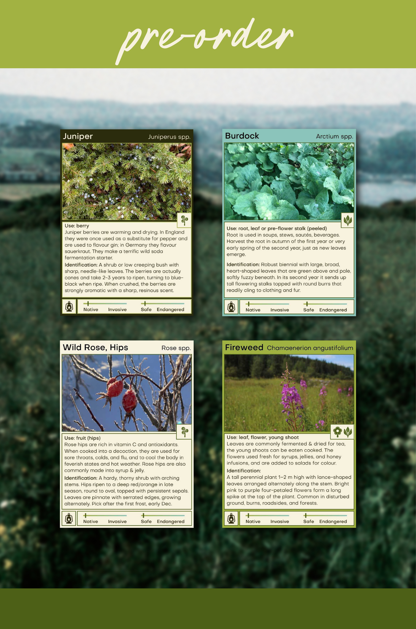 Alberta Foraging Cards - Field Guide Deck