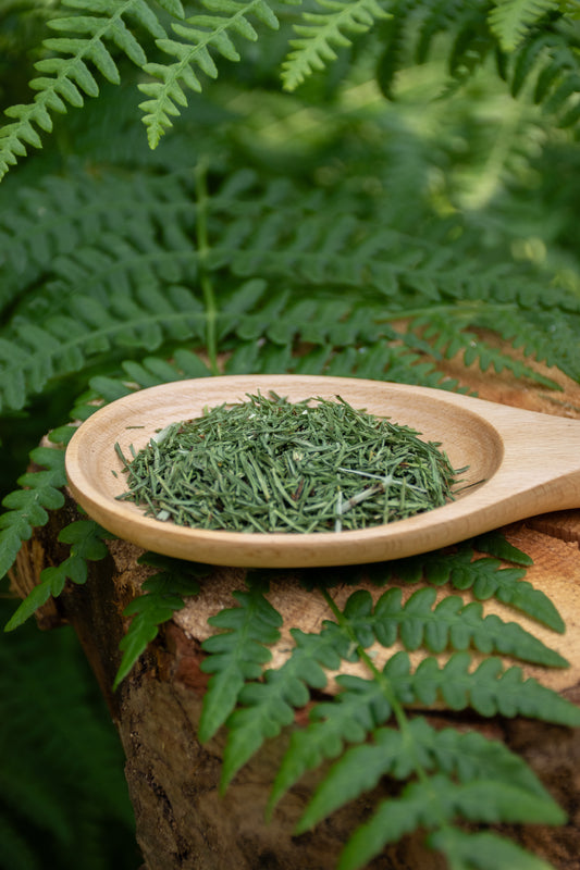 Horsetail