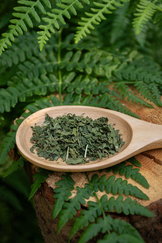 Stinging Nettle