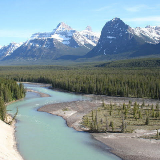 Athabasca Spring