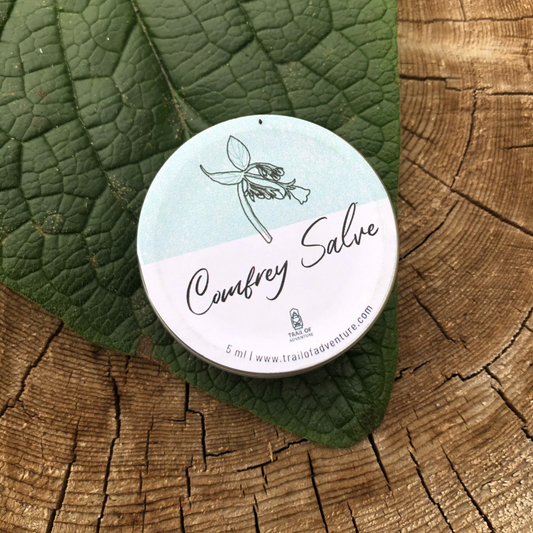 Comfrey Salve